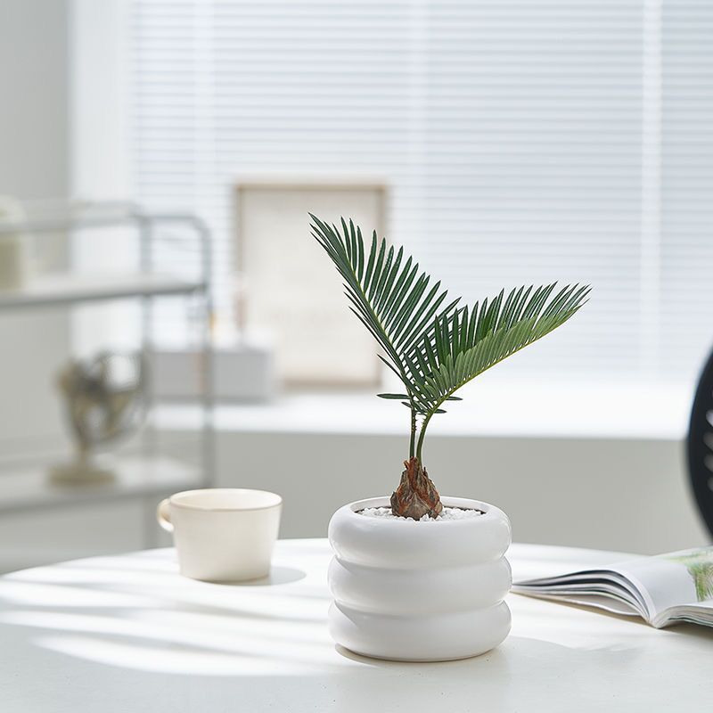 JLYF3912 Hot sell matte white glazed small ceramic plant pot