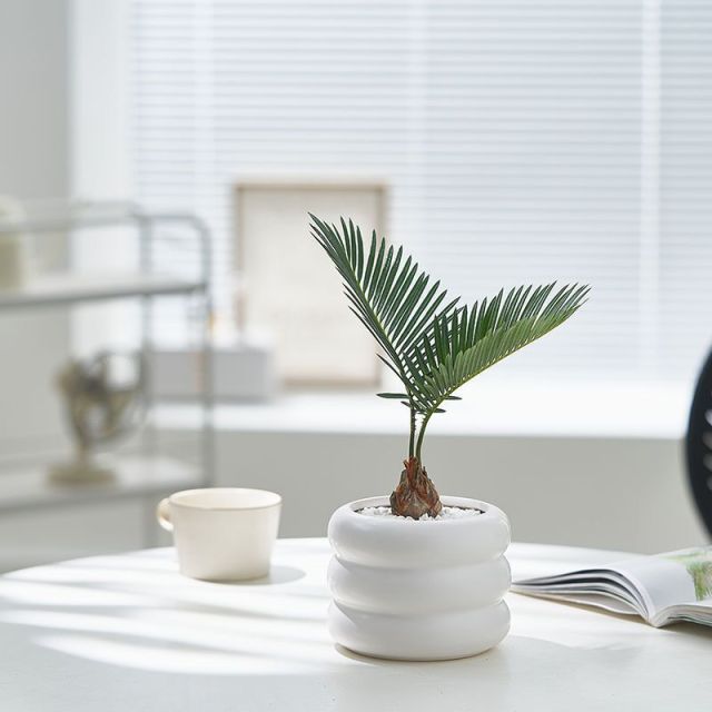 JLYF3912 Hot sell matte white glazed small ceramic plant pot