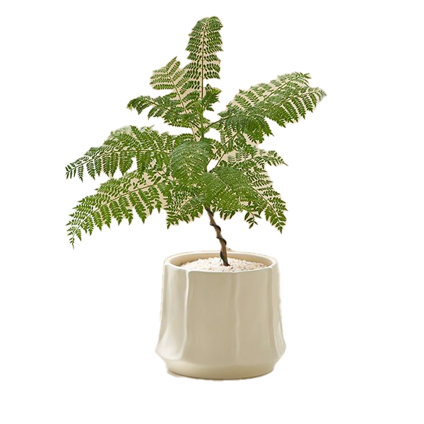 JLYF3918 Matte glazed ceramic pots with textured design