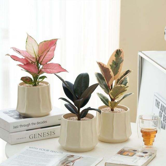 JLYF3918 Matte glazed ceramic pots with textured design