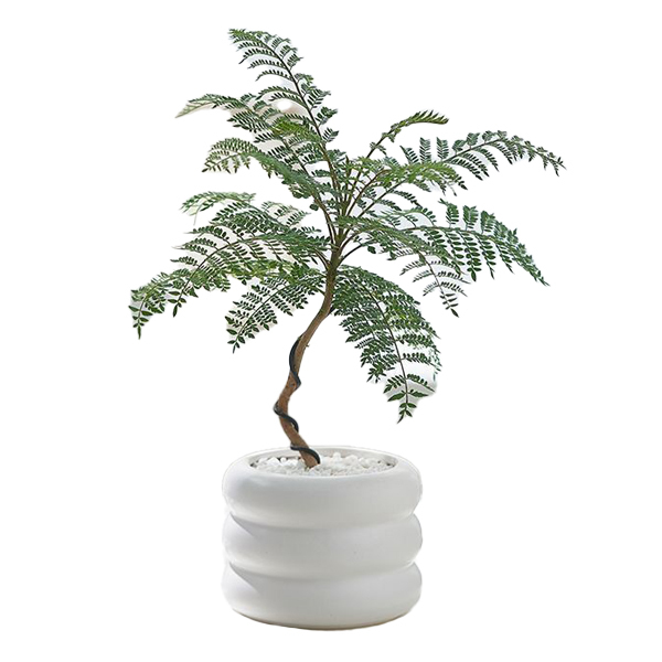 JLYF3912 Hot sell matte white glazed small ceramic plant pot