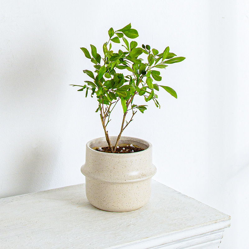 JLYF3917 Speckle glazed unique design ceramic planter pot