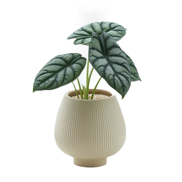 JLYF3919 Fluted design ceramic plant pot for indoor use