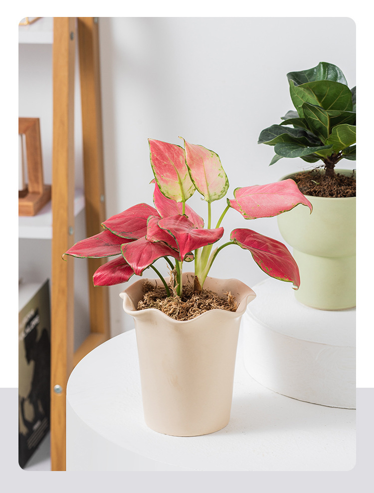 JLYF3908 Floral design matte glazed ceramic plant pot