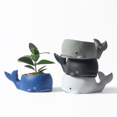 JYW2100 Whale design indoor garden ceramic pot