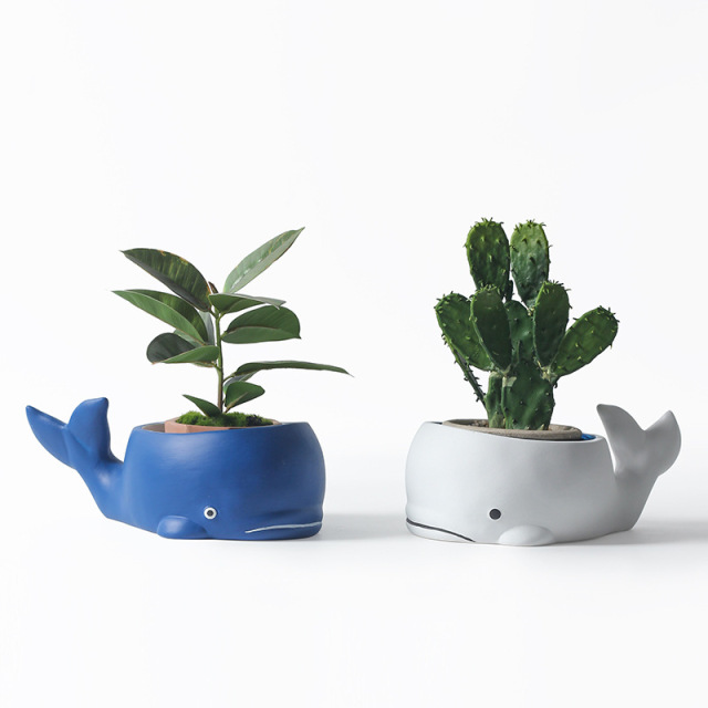 JYW2100 Whale design indoor garden ceramic pot
