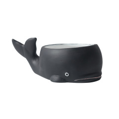 JYW2100 Whale design indoor garden ceramic pot