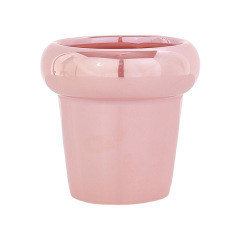JYW2116 New development indoor garden ceramic planter pot with pearlized finish