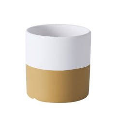 JYW2125 Cylinder ceramic pot with 2 tone finish