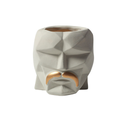 JYW2133 Ceramic Faced planter with golden beard