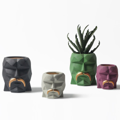 JYW2133 Ceramic Faced planter with golden beard