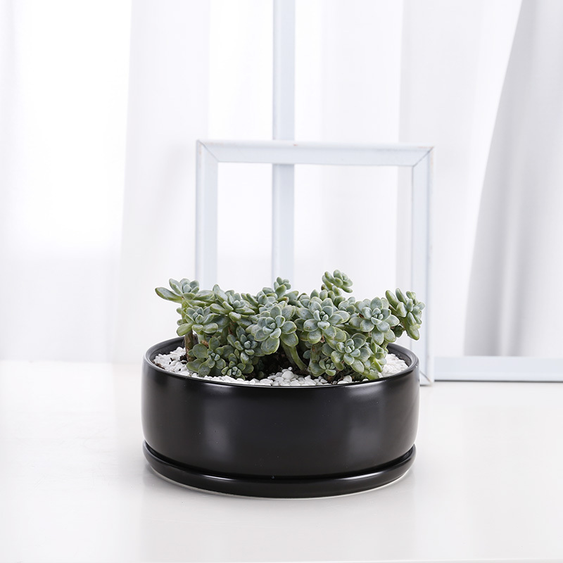 JL7011 Bowl shaped indoor glarden ceramic succulent planter pots with tray