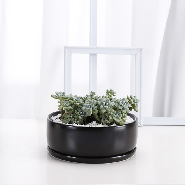 JL7011 Bowl shaped indoor glarden ceramic succulent planter pots with tray
