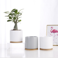 JL8095 Satin glaze cylinder ceramic succulent planter with bamboo tray
