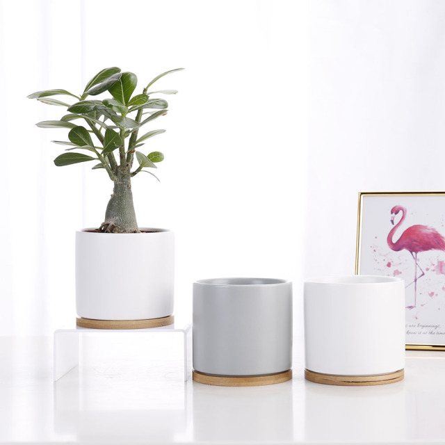 JL8095 Satin glaze cylinder ceramic succulent planter with bamboo tray