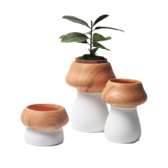 JYW2156 New arrival mushroom design ceramic planter pot with wooden effect