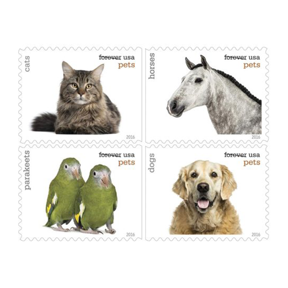 00 Forever Stamps 2016 USPS First-Class U.S. Postage Pets Celebrate Animals Stamp 5 Books (20PCS/Book)
