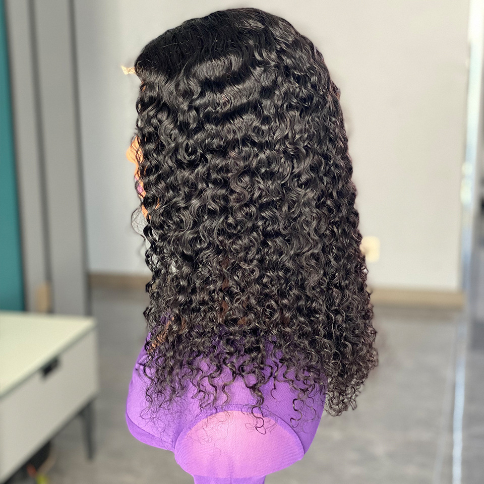 Lyra Wig 200 Density Kinky Curly Human Hair Wig