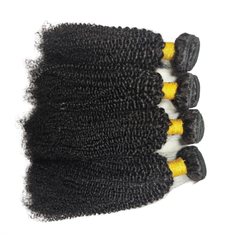 Afro Kinky Curly Human Hair Bundles Hair Weave