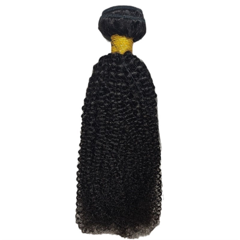 Afro Kinky Curly Human Hair Bundles Hair Weave