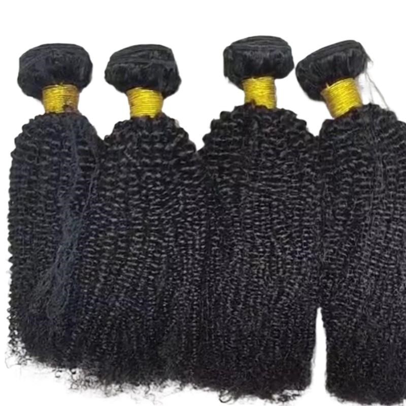 Afro Kinky Curly Human Hair Bundles Hair Weave