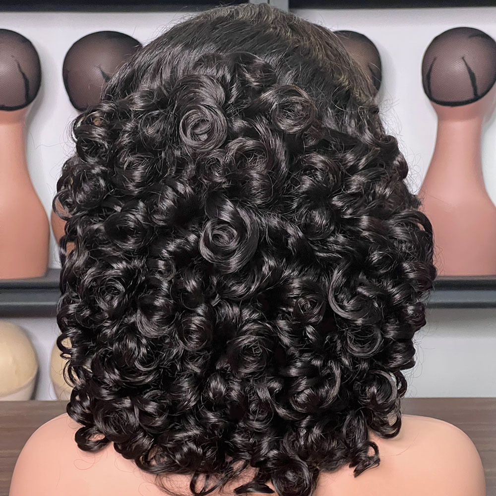 LYRAHAIR 13x4 Lace Front Wig 16inch Spring Curly Human Hair - Pre Plucked Hairline Glueless Wear Brazilian Remy Hair Fumi Style