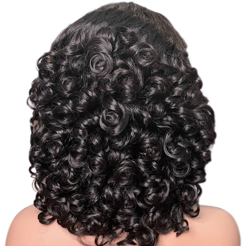 LYRAHAIR 13x4 Lace Front Wig 16inch Spring Curly Human Hair - Pre Plucked Hairline Glueless Wear Brazilian Remy Hair Fumi Style