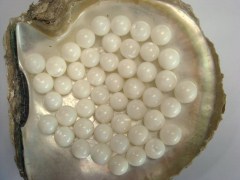 pearl nuclei A grade