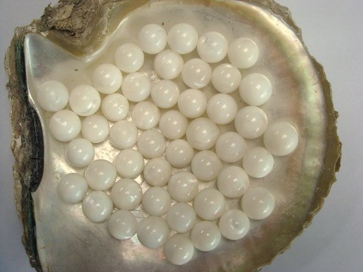 pearl nuclei A grade