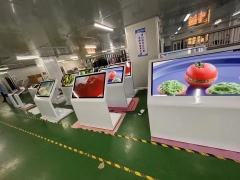 Interactive Display