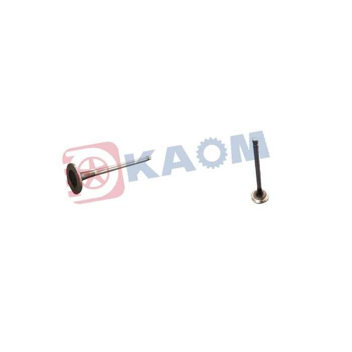 Выпускной клапан 1007-01261 ZK6852HG