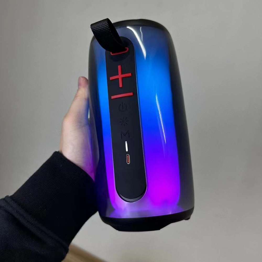 Pulse5 Pulse6 Pulse6+ Speaker