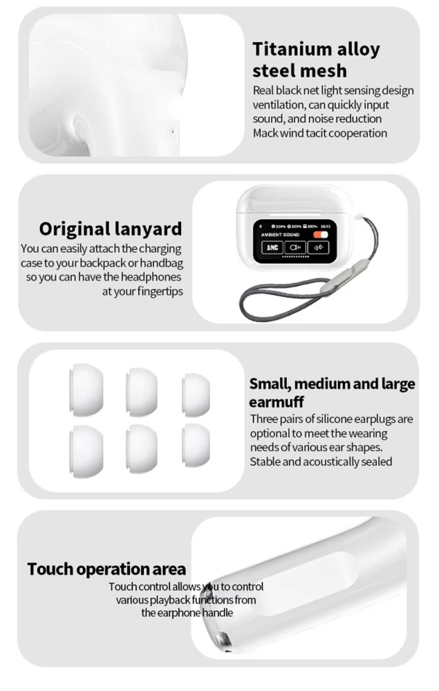 Earphone with display screen