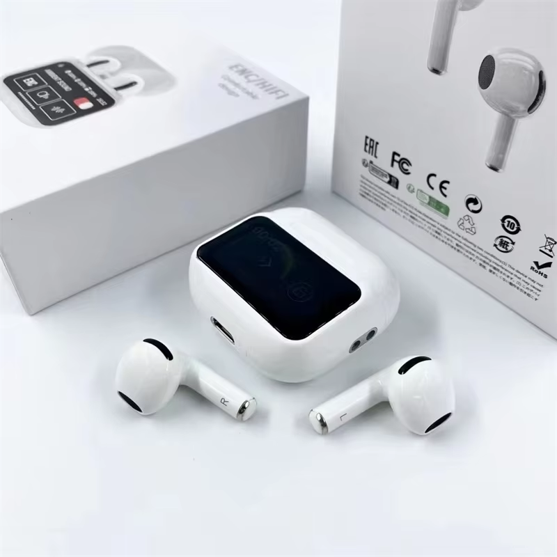 Earphone with display screen