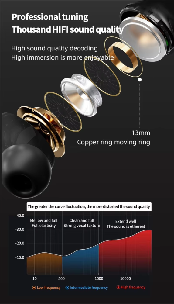 Earphone with display screen