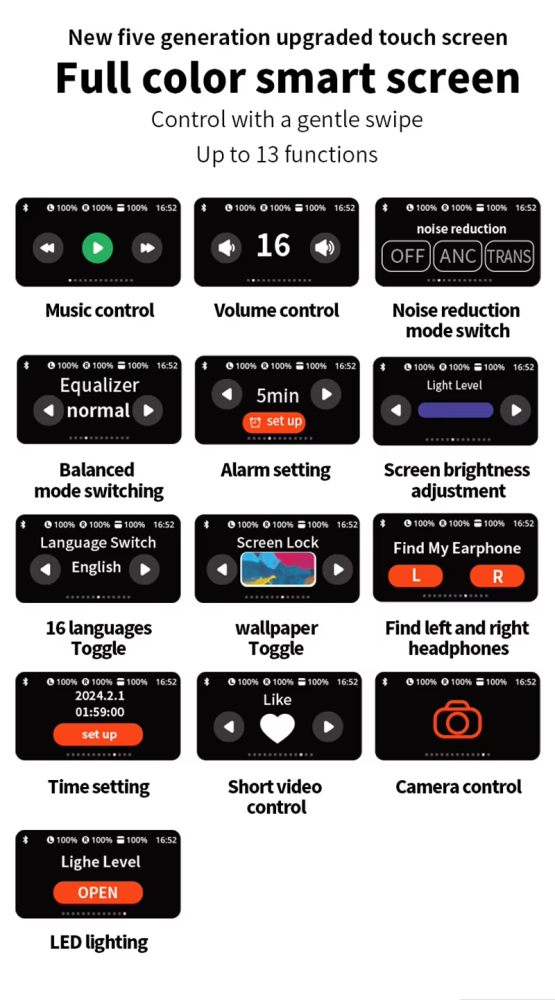 Earphone with display screen