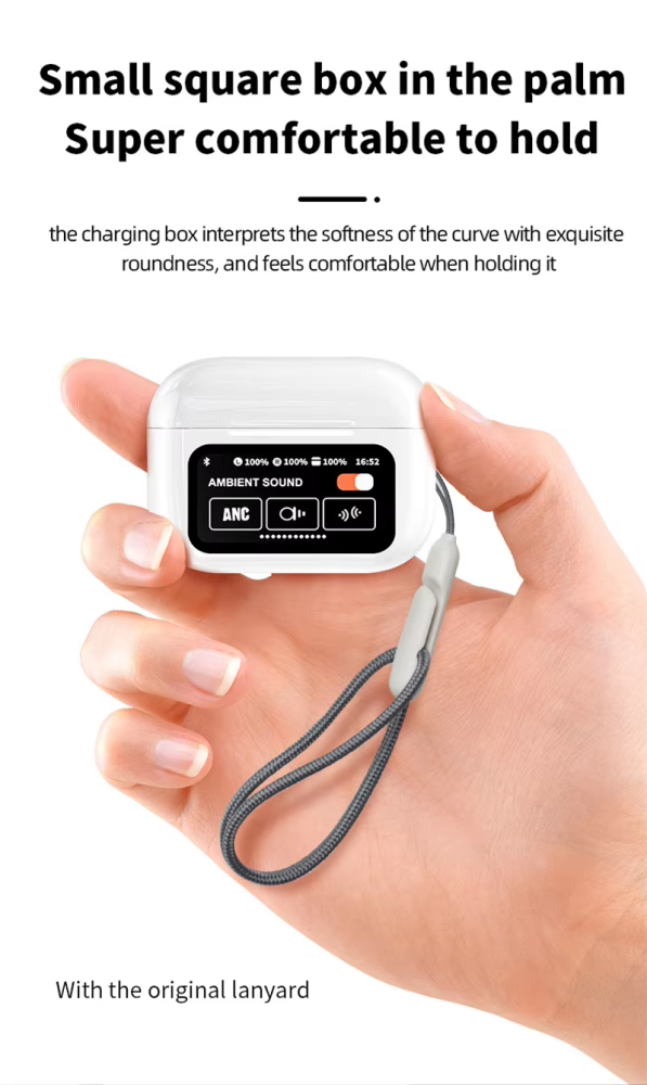 Earphone with display screen