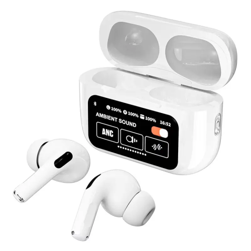 Earphone with display screen