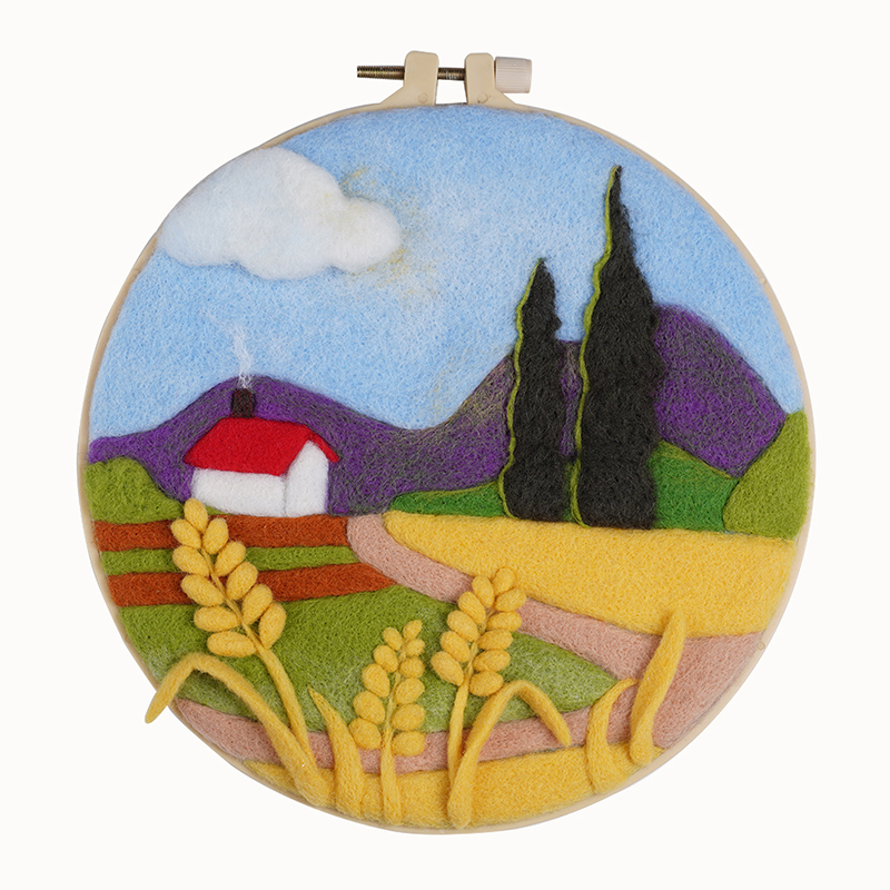 Poke Fun Wool Felt Needlework Kit for Beginners - Create Beautiful Wool Art!