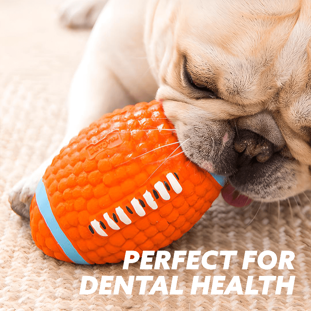 MightyChew Toy - Durable Chew Toy for Dogs, Supports Dental Health