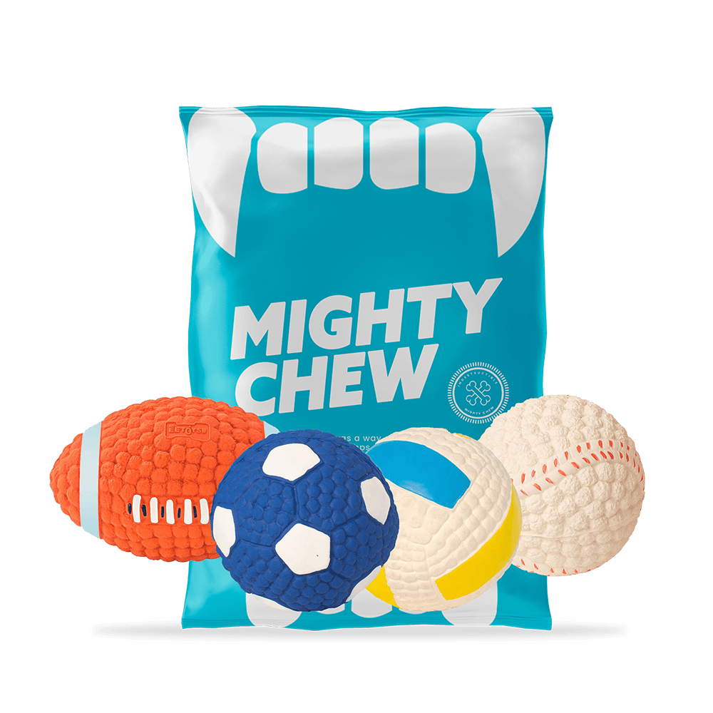 MightyChew Toy - Durable Chew Toy for Dogs, Supports Dental Health