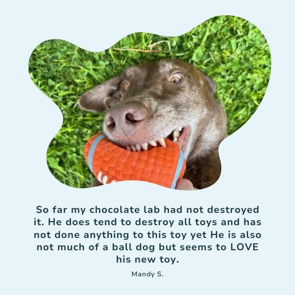 MightyChew Toy - Durable Chew Toy for Dogs, Supports Dental Health