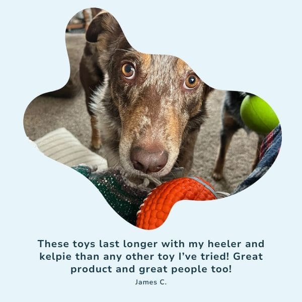 MightyChew Toy - Durable Chew Toy for Dogs, Supports Dental Health