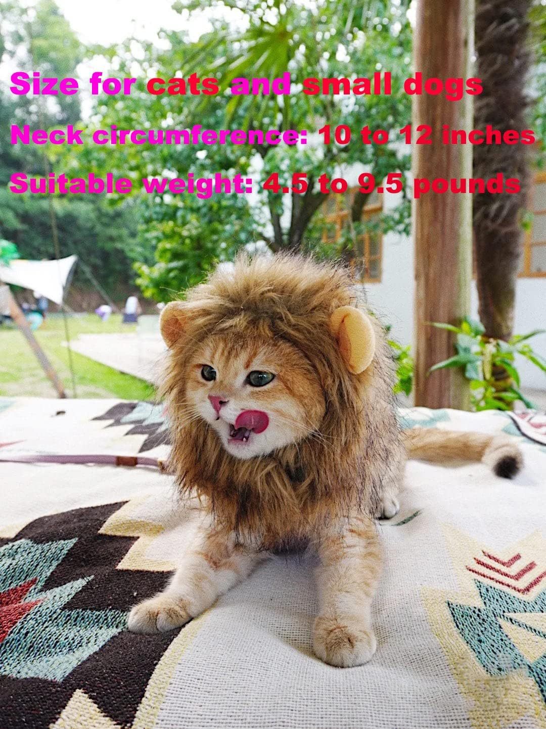 Lion Mane Wig for Cat Costume Pet