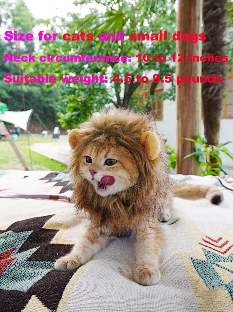 Lion Mane Wig for Cat Costume Pet