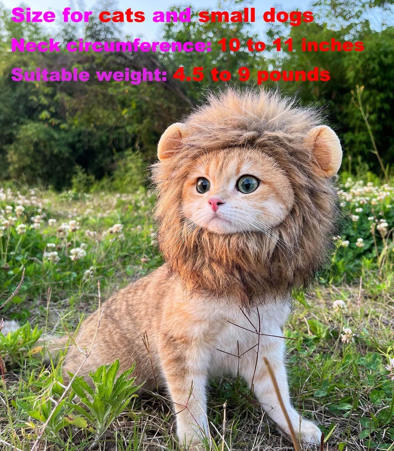 Lion Mane Wig for Cat Costume Pet