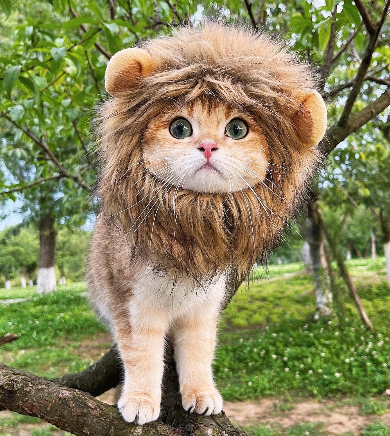 Lion Mane Wig for Cat Costume Pet