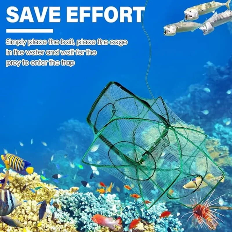 🎁Hot Sale🎁48% OFF - Auto-Foldable Strengthened Fishing Trap Net（Free Shipping）