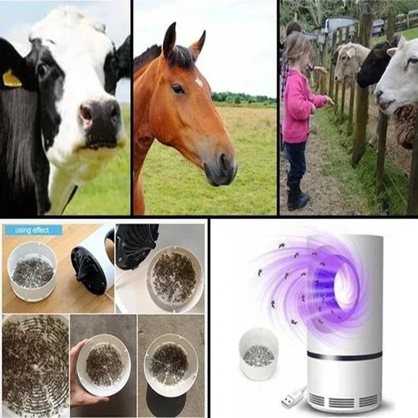🔥Summer Hot Sale 48% OFF-Mosquito And Flies Killer Trap（Free Shipping）