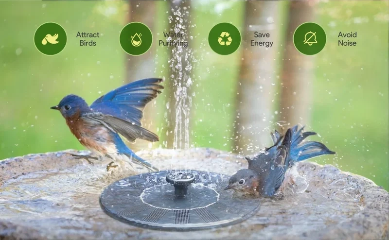LAST DAY 48% OFF🔥Solar-Powered Bird Fountain Kit